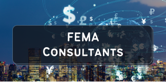 FEMA Consultant