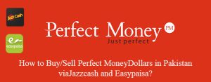 Perfect Money Exchanger in Pakistan